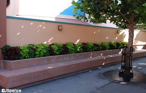 Wall Planter