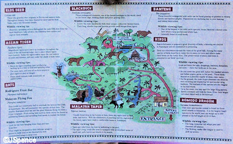 Map & Animal Description Cards