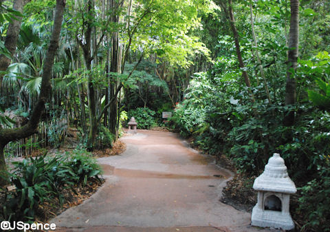 Jungle Path