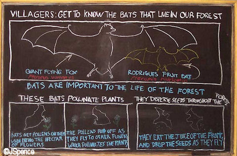 Bat Diagram