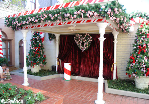 Candy Cane Garden