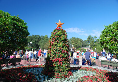 Christmas Tree on the Hub
