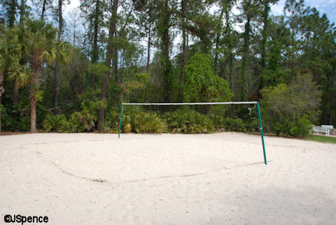 Volleyball