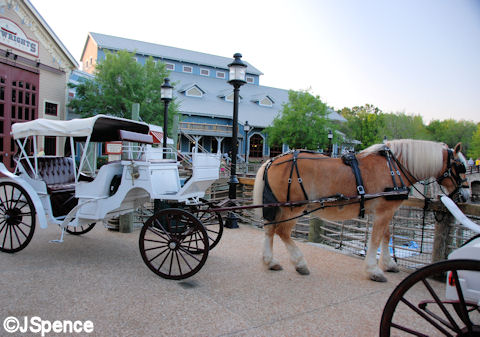 Carriage Rides