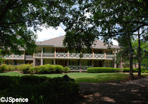 Alligator Bayou