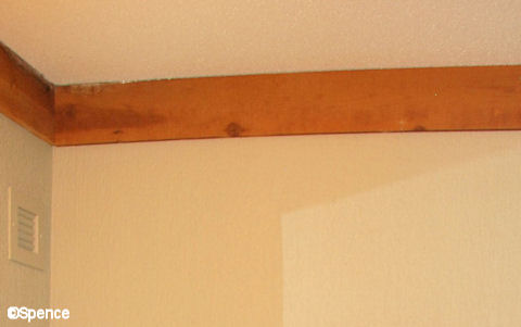 Ceiling Molding