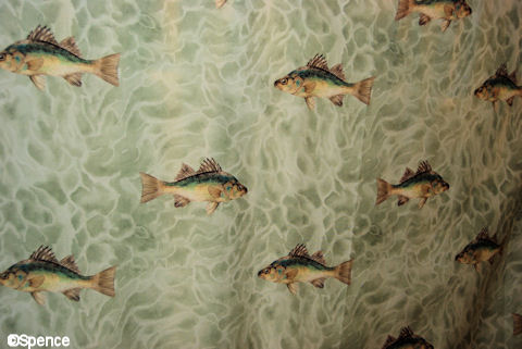 Shower Curtain