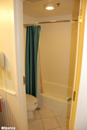 Tub Shower