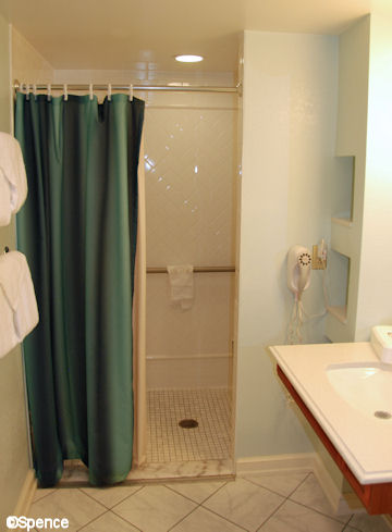 Roll-in Shower
