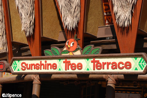 Sunshine Tree Terrace Sign