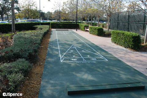 Shuffleboard