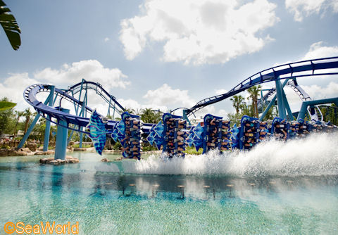 SeaWorld%20Manta%2025.jpg