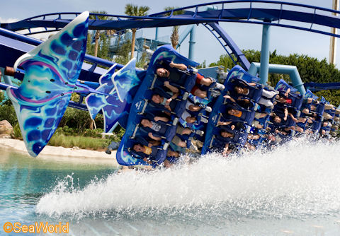 SeaWorld%20Manta%2026.jpg
