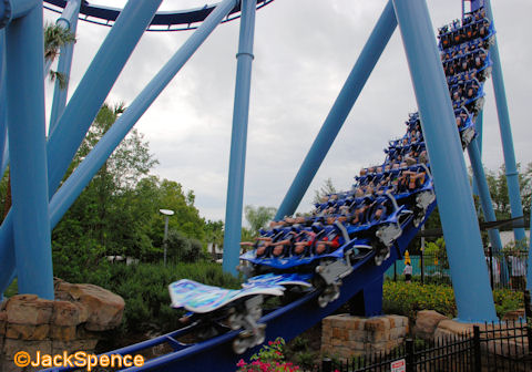 SeaWorld%20Manta%2031.jpg