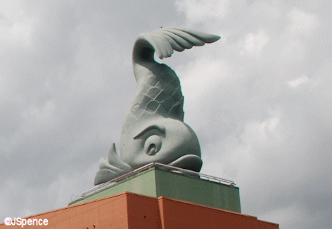 Rooftop Dolphin