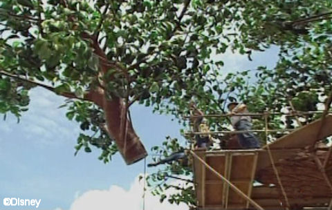 Branch Being Lifted Into Place
