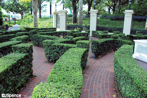 Hedge Maze
