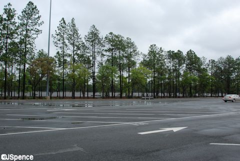 Epcot Parking Lot