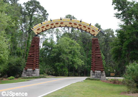 Wilderness Lodge Archway