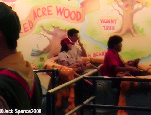 Pooh's Hunny Hunt Tokyo Disneyland