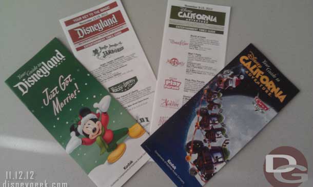 Disneyland Christmas