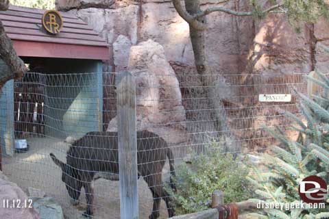 Disneyland Christmas