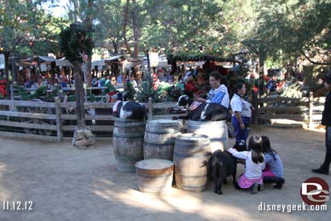 Disneyland Christmas