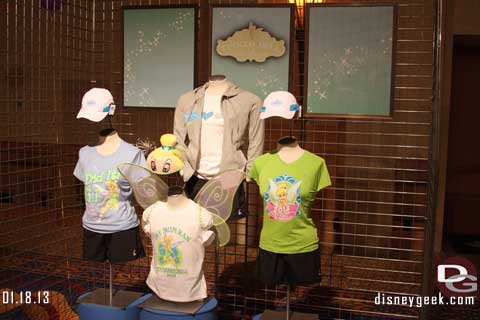 Disneyland Resort Photo January Update
