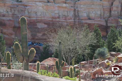 Disneyland Resort Photo Update - 2/22/13