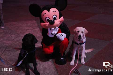 Disneyland Resort Photo Update - 11/08/13