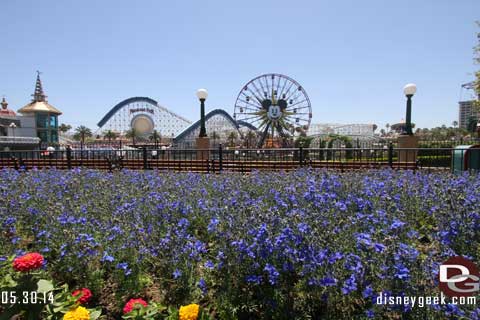 Disneyland Resort Photo Update - 5/30/14