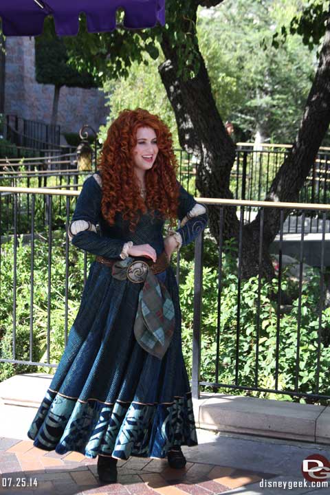 Disneyland Resort Photo Update - 7/25/14