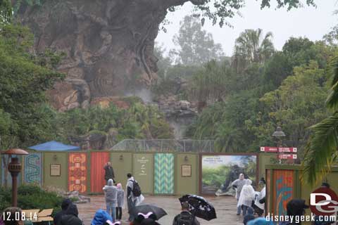 Animal Kingdom at WDW Construction Update