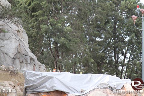 Disneyland Resort Photo Update - 2/20/15