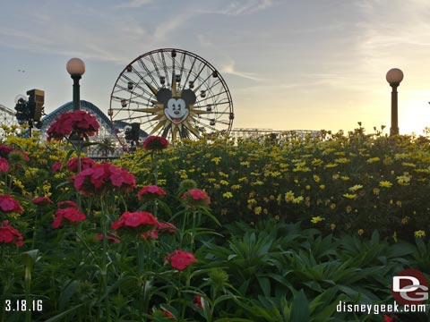 Jason @ disneygeek.com image from Friday, March 18, 2016
