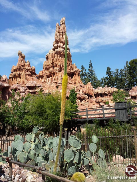 Jason @ disneygeek.com image from Friday, May 13, 2016