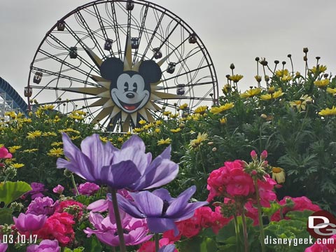 Jason @ disneygeek.com image from Friday, March 10, 2017