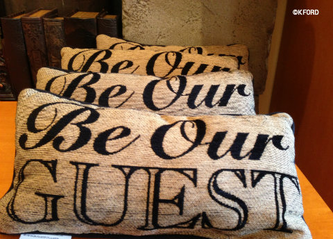 bonjour-be-our-guest-pillows.jpg