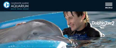 clearwater-marine-aquarium-dolphin-tale-2-winter-sawyer.jpg