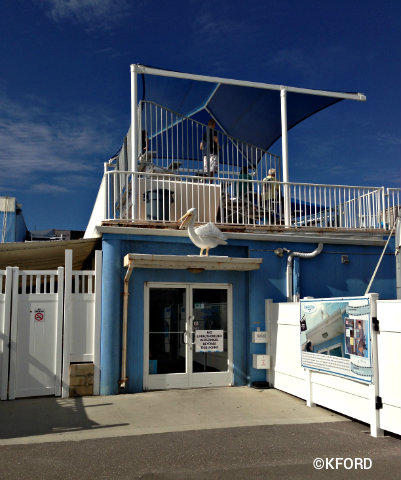 clearwater-marine-aquarium-entrance-in-movie.jpg