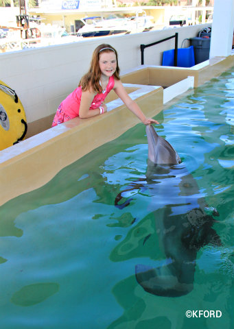 clearwater-marine-aquarium-lauren-petting-winter.jpg