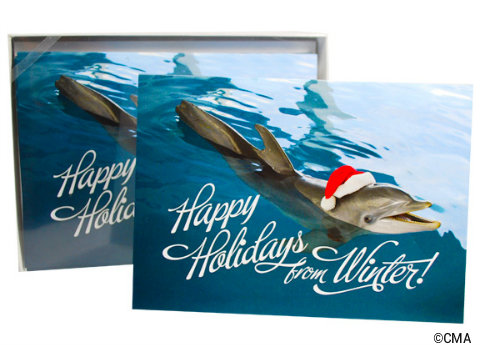 clearwater-marine-aquarium-winter-holiday-cards.jpg