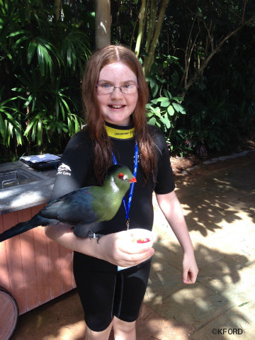 discovery-cove-lauren-aviary.jpg