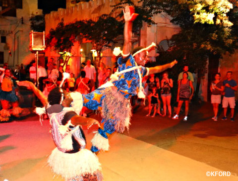 disney-animal-kingdom-harambe-wildlife-parti-acrobats.jpg