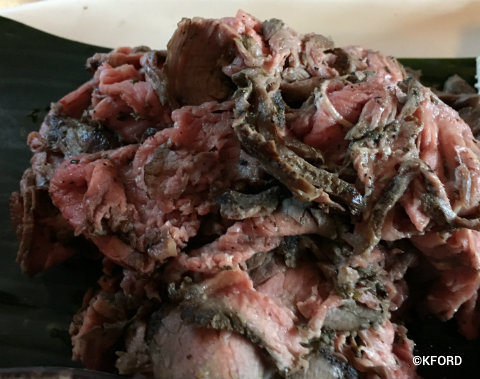 disney-animal-kingdom-pandora-satuli-canteen-grilled-beef.jpg