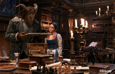 disney-beauty-and-the-beast-belle-library.jpg