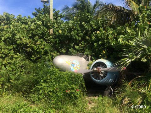 disney-cruise-line-castaway-cay-5k-plane.jpg