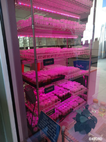 disney-epcot-behind-the-seeds-tour-biotechnology-lab.jpg