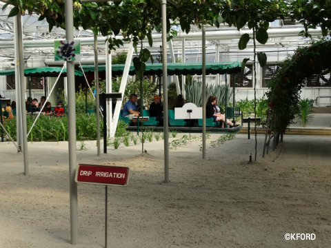 disney-epcot-behind-the-seeds-tour-drip-irrigation.jpg