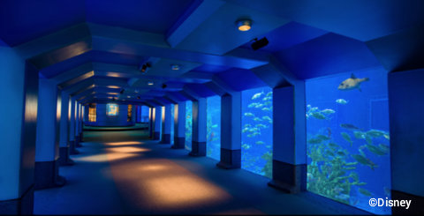 disney-the-seas-with-nemo-and-friends-viewing-aquariums.jpg